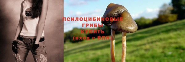 СК Железноводск