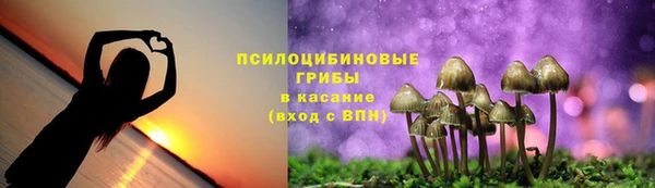 spice Абинск