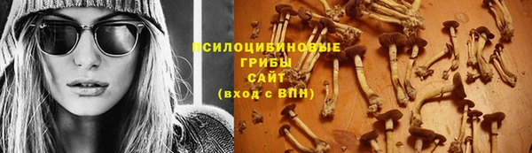 spice Абинск