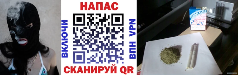 Бошки марихуана марихуана Азнакаево